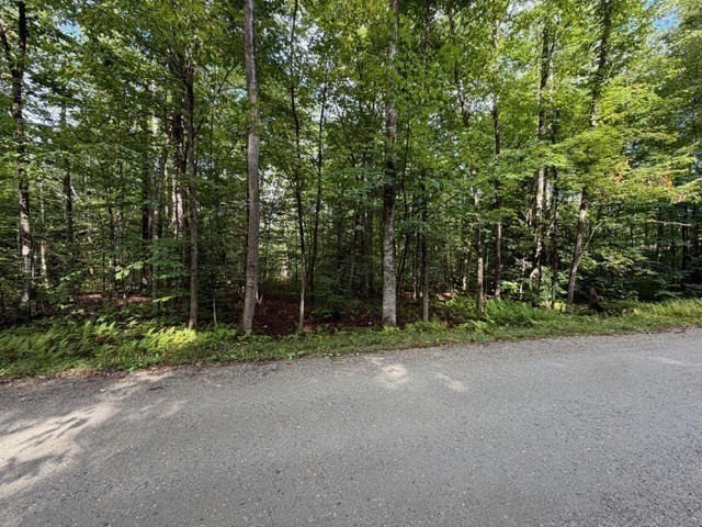 Lot 121 Davis Mine Road Rowe, MA 01367 - Photo 21 of 23 Gallery Image 21
