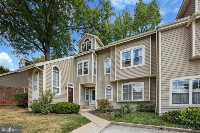 a view of a yard in front of a house with plants and large tree