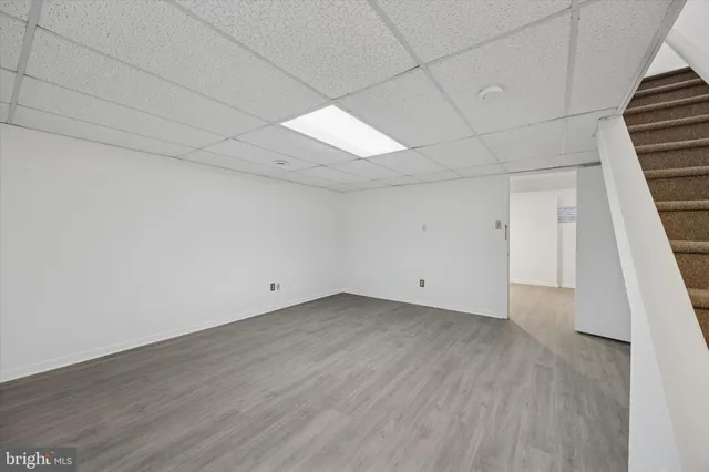 a view of a yard with plants and trees