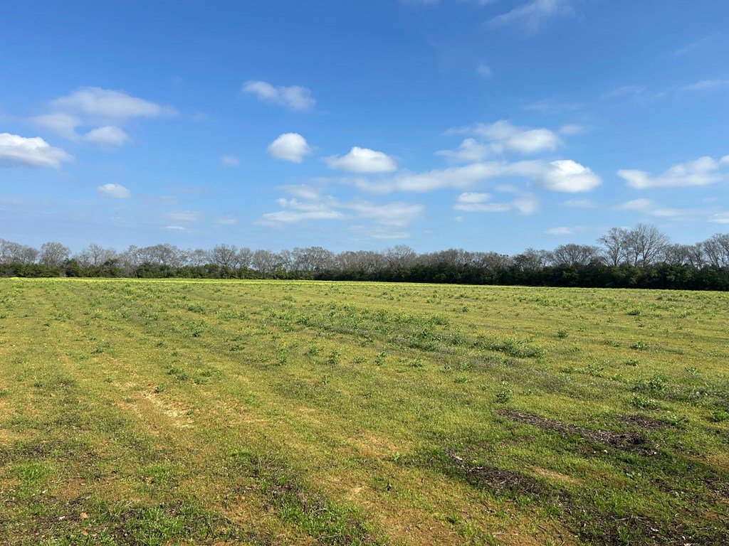 17.99-ac 17.99-ac Wicksburd Road Newton, AL 36352 - Photo 20 of 22
