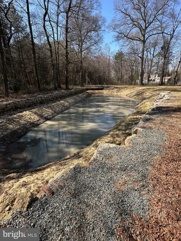 a view of dirt yard with a large tree