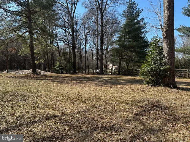a view of outdoor space with trees
