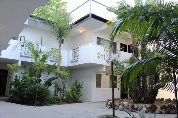 a picture of palm trees