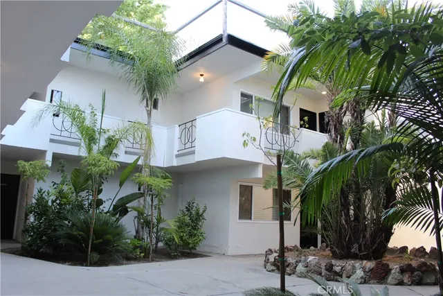 a picture of palm trees