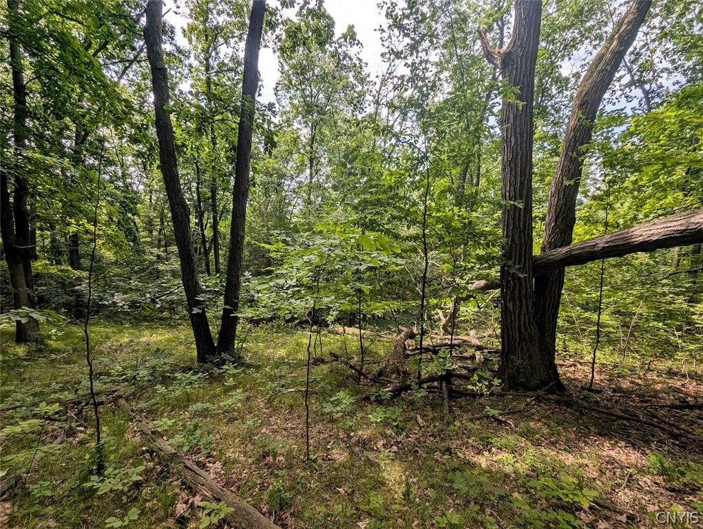 Keifer Hollow Road Dansville, NY 14437 - Photo 9 of 33