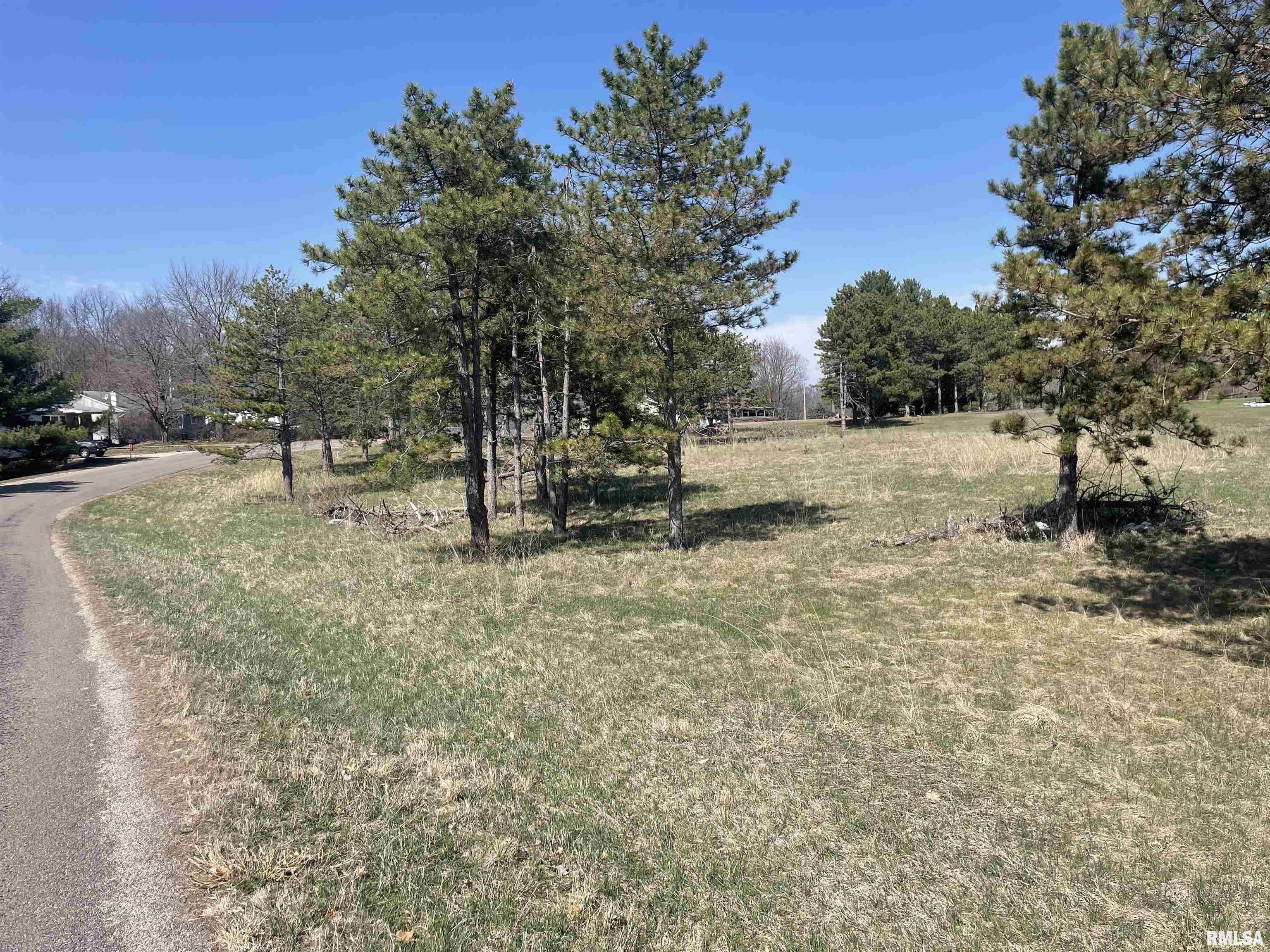 0 Edgewood Drive Manito, IL 61546 - Photo 3 of 3