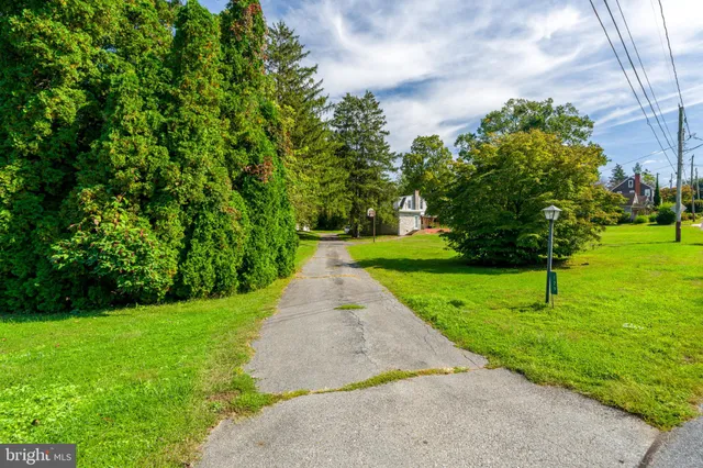 a view of a yard with plants and trees