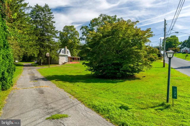a view of a backyard with plants and large trees