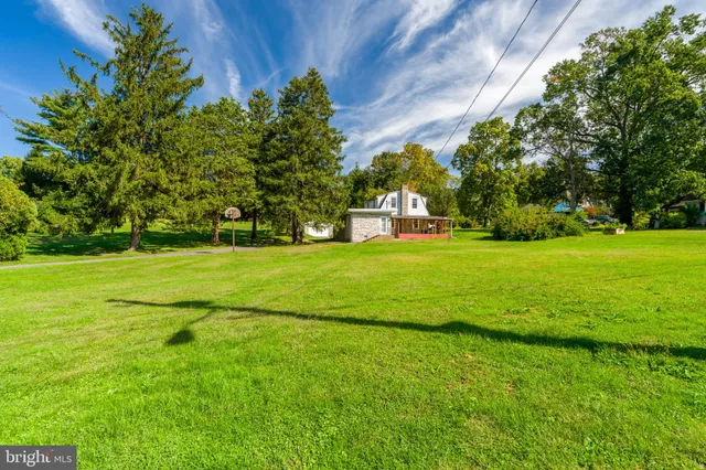a view of field with tall trees