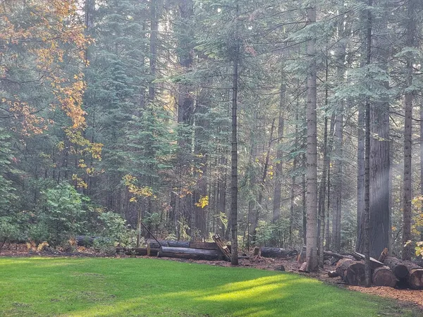 $374,900 | 34160 Cable Road, Alta, CA 95701