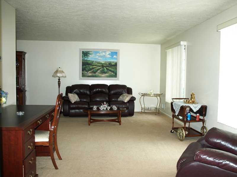 1534 Anderson Road Pittsburgh, PA 15209 - Photo 3 of 20 Living Room. Large and bright, open to DR.