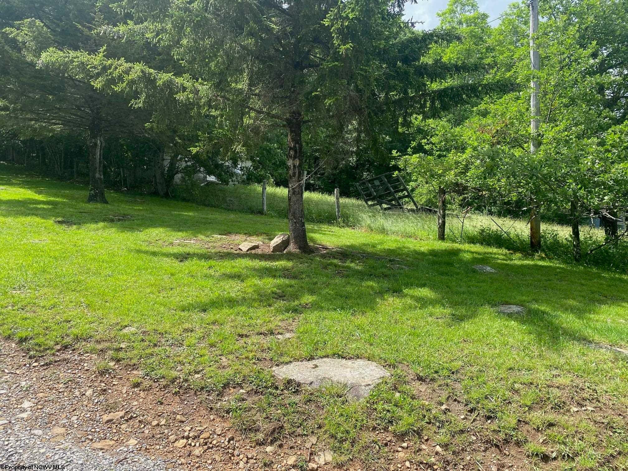 12677 Back Mountain Road Durbin, WV 26264 - Photo 16 of 27 Gallery Image 16