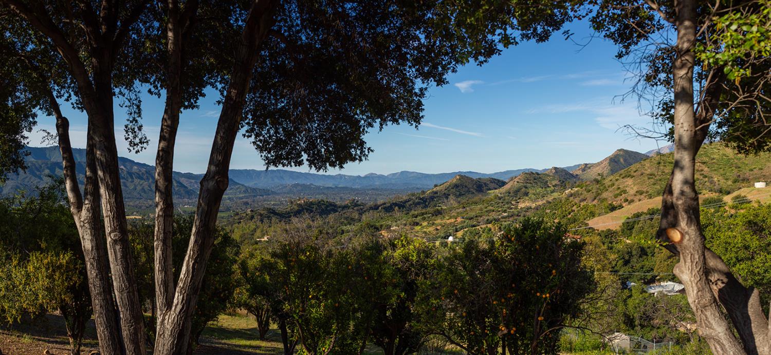 3191 Ladera Road Ojai, CA 93023 - Photo 19 of 29 a view of a tree in a yard