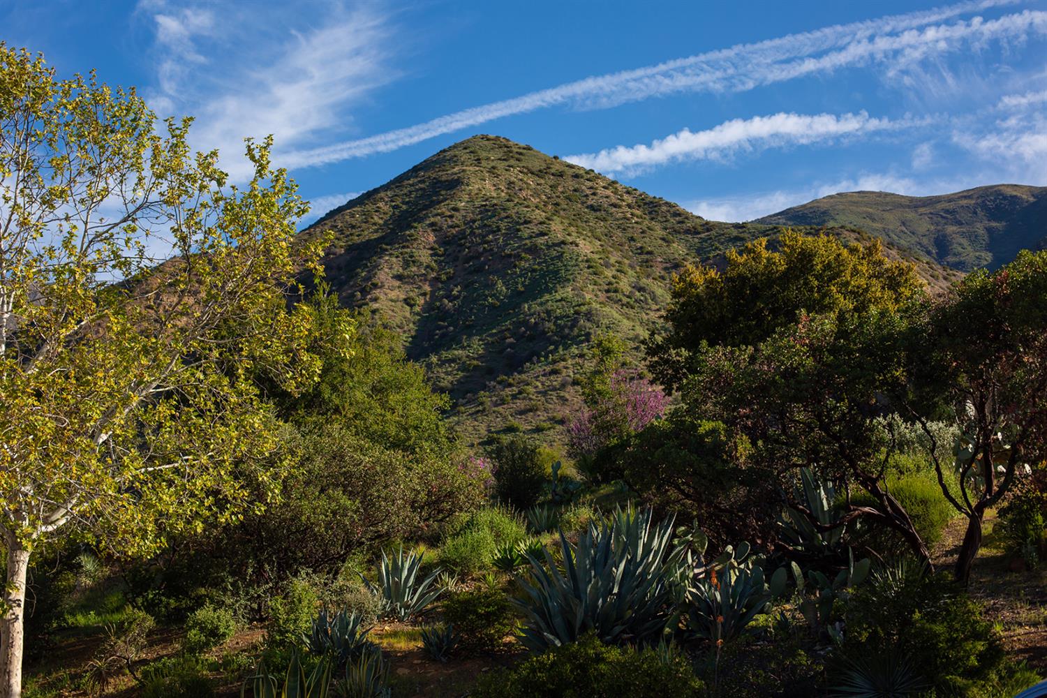 3191 Ladera Road Ojai, CA 93023 - Photo 25 of 29 a view of a houses with a yard
