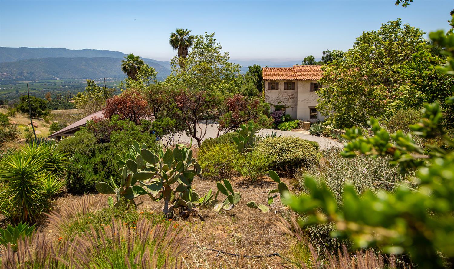 3191 Ladera Road Ojai, CA 93023 - Photo 27 of 29 a view of a multi story yard with plants and large trees