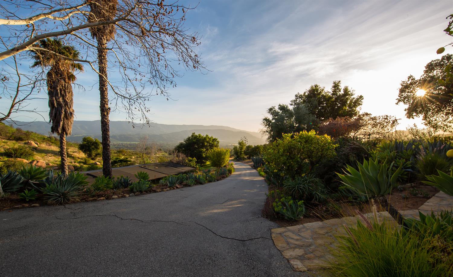 3191 Ladera Road Ojai, CA 93023 - Photo 7 of 29 a view of a yard with plants and a bench