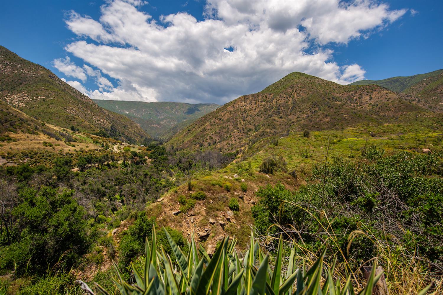 3191 Ladera Road Ojai, CA 93023 - Photo 10 of 29 a view of mountain
