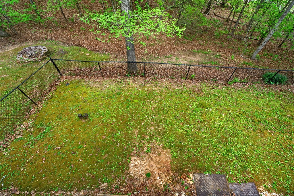 80 Sowers Road Blue Ridge, GA 30513 - Photo 43 of 58 a view of outdoor space and yard