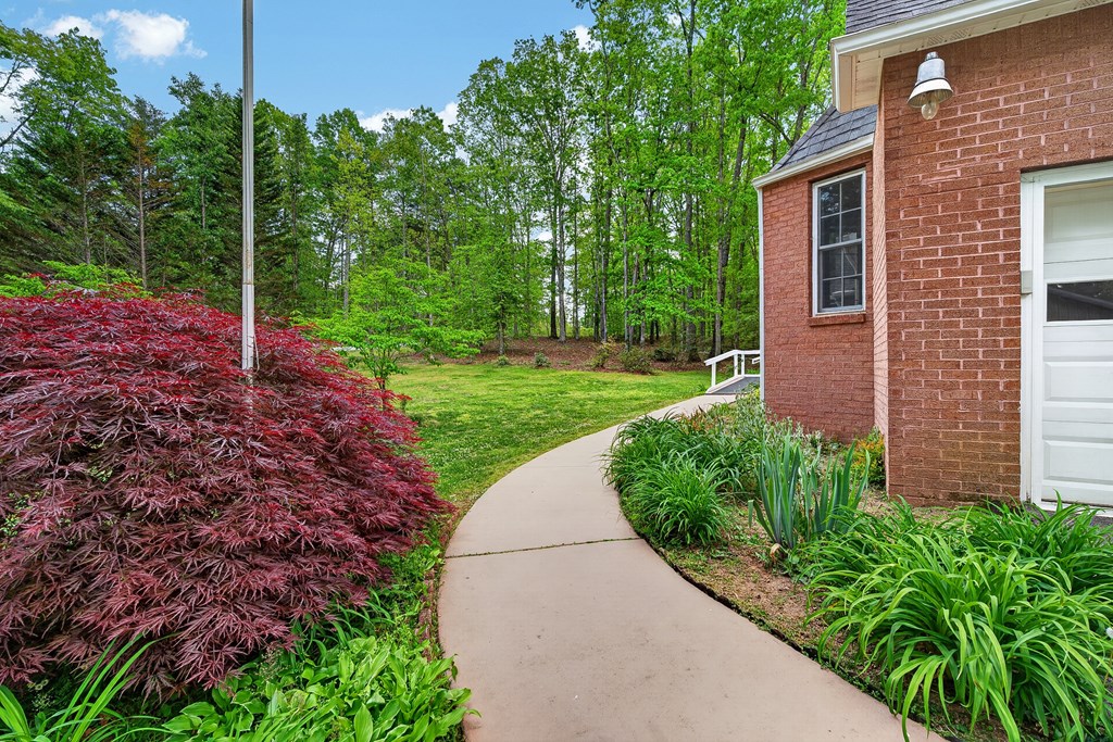 80 Sowers Road Blue Ridge, GA 30513 - Photo 52 of 58 a view of a backyard with potted plants and large tree