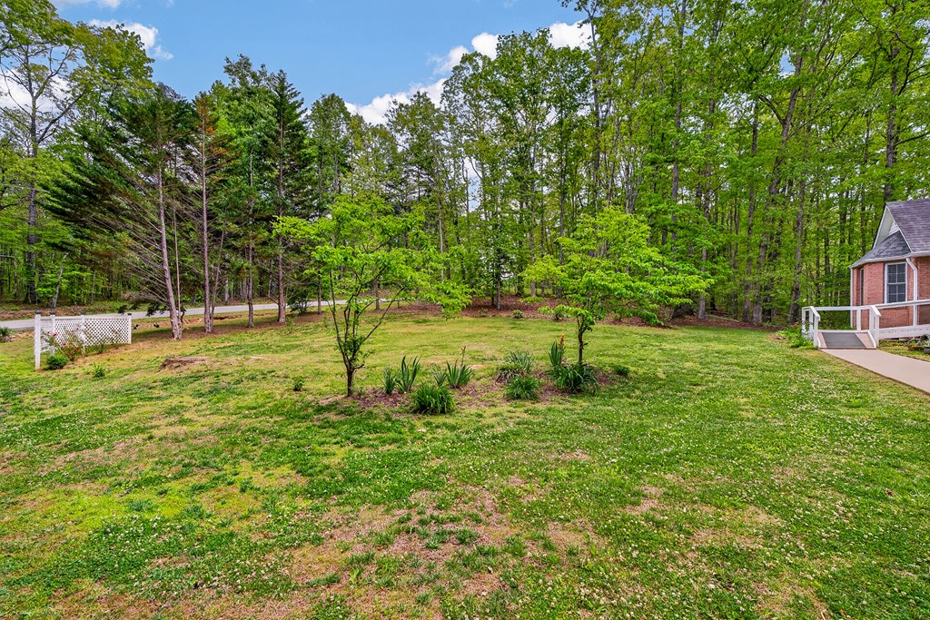 80 Sowers Road Blue Ridge, GA 30513 - Photo 57 of 58
