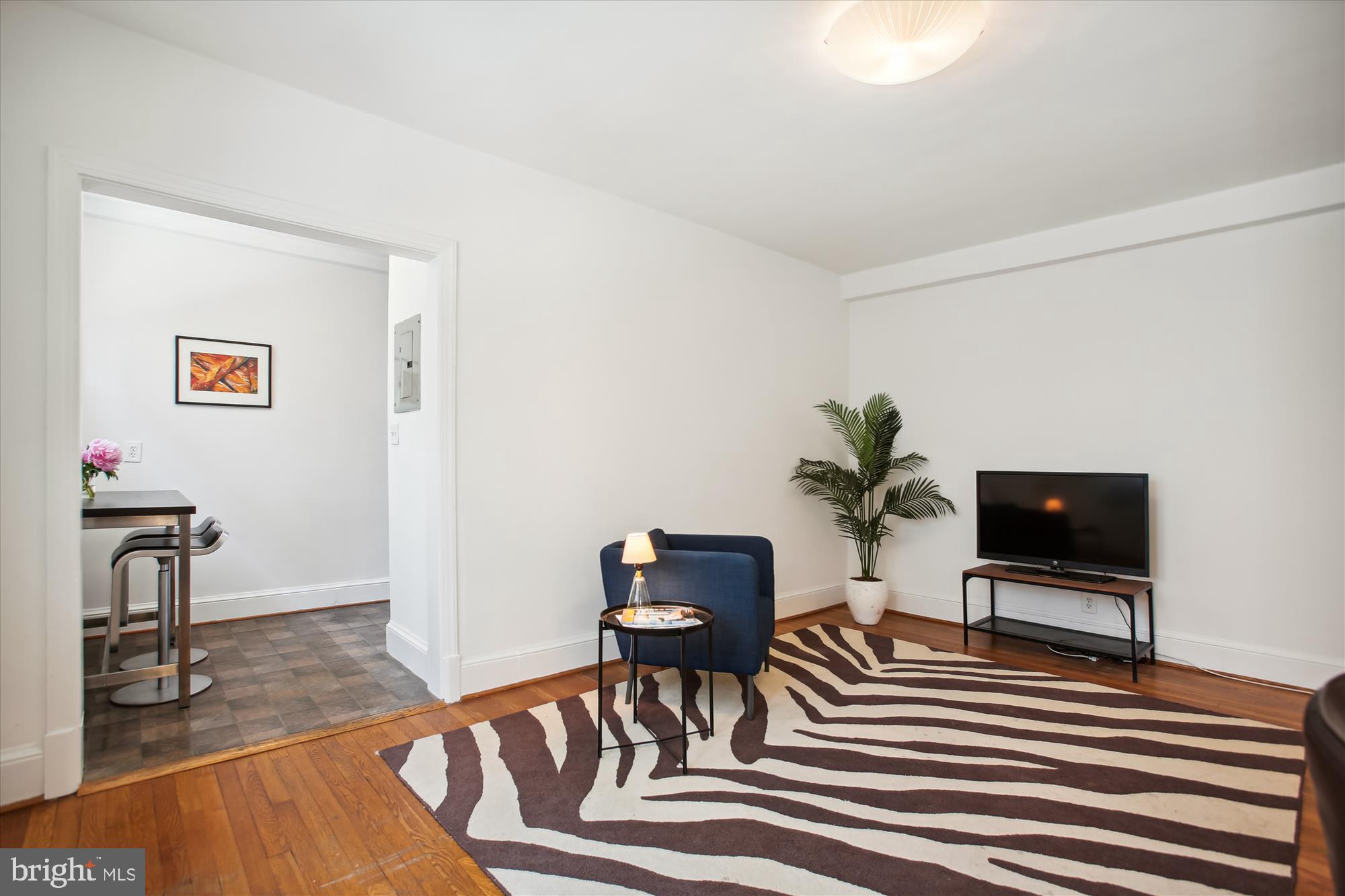 1301 Longfellow Street Northwest, Unit 104 Washington, DC 20011 - Photo 4 of 16