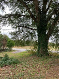 181 Pine Log Road Beech Island, SC 29842 - Photo 3 of 4