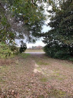 181 Pine Log Road Beech Island, SC 29842 - Photo 4 of 4