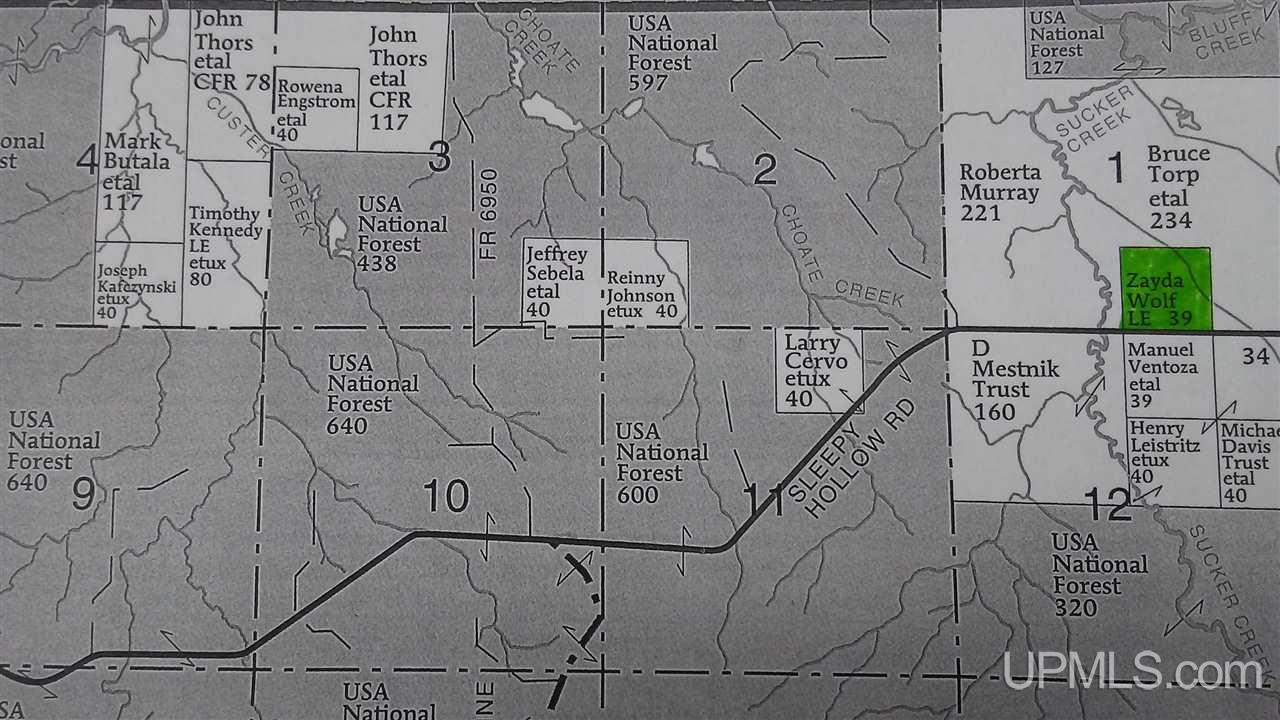 Tbd Sleep Hollow Road Bruce Crossing, MI 49912 - Photo 1 of 1