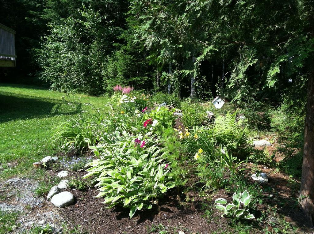 129 Fitchburg Road Waltham, ME 04605 - Photo 4 of 23 Photo
