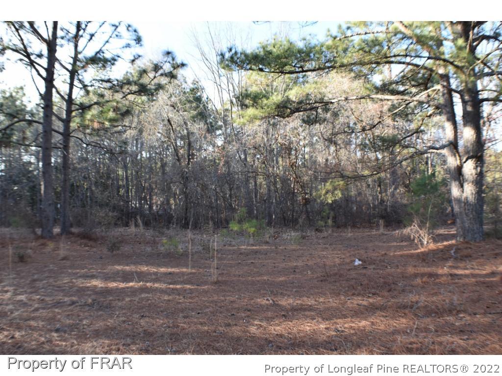216 Sands Road Carthage, NC 28327 - Photo 27 of 28 a view of outdoor space with green space
