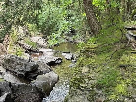 Hill Road Halcottsville, NY 12438 - Photo 12 of 15 Gallery Image 12