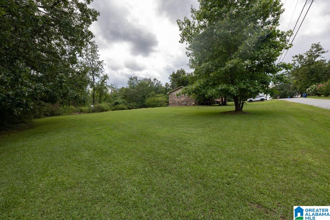 728 Dagun Street Anniston, AL 36206 - Photo 3 of 13