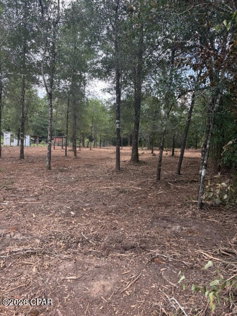 0 Forest Glen Road Fountain, FL 32438 - Photo 8 of 10