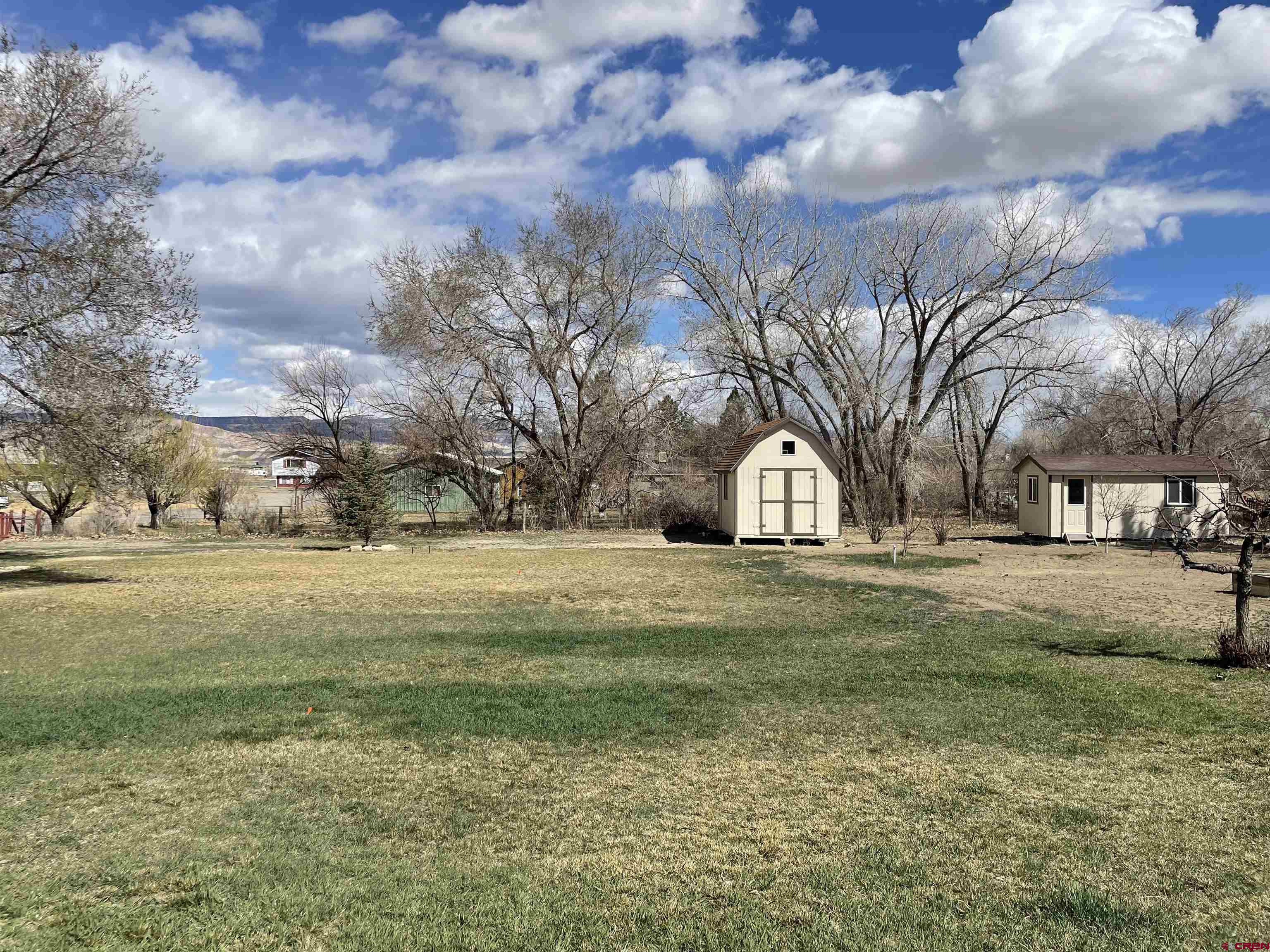 8902 6085 Road Montrose, CO 81401 - Photo 27 of 31 a view of large trees with a big yard