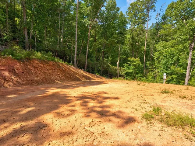 a outdoor view of yard