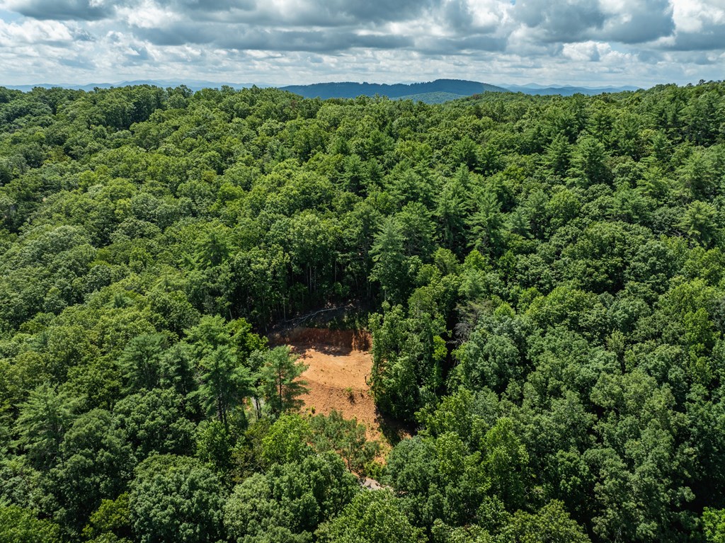 2039 Crowe Road Murphy, NC 28906 - Photo 17 of 36