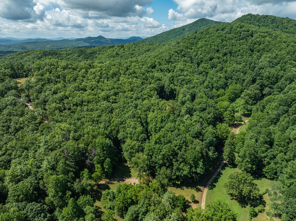 2039 Crowe Road Murphy, NC 28906 - Photo 29 of 36