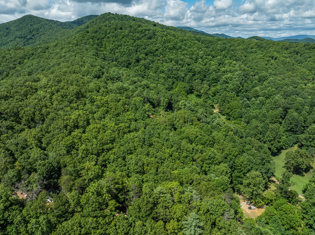 2039 Crowe Road Murphy, NC 28906 - Photo 30 of 36