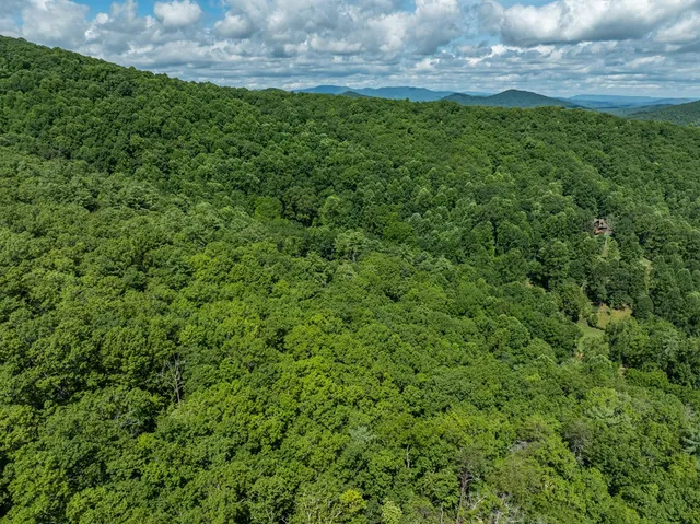 a view of a field of grass and trees