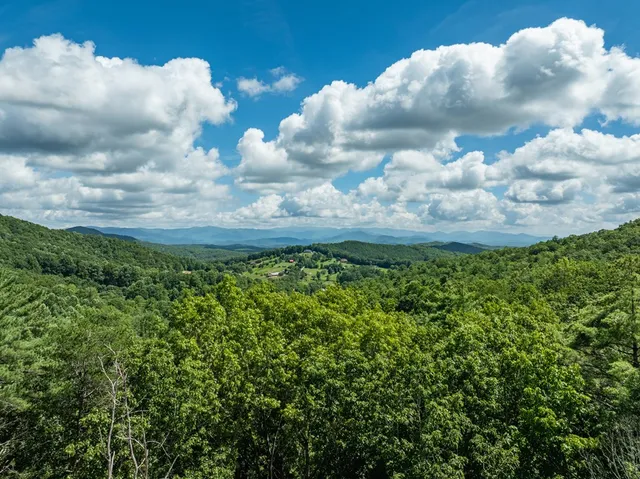 a view of a big yard