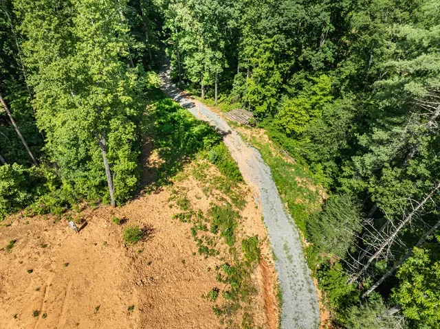 a view of a yard with plants