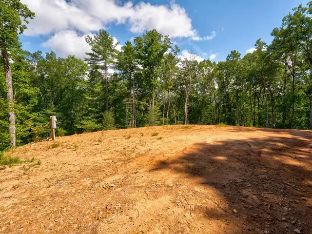 a view of empty yard