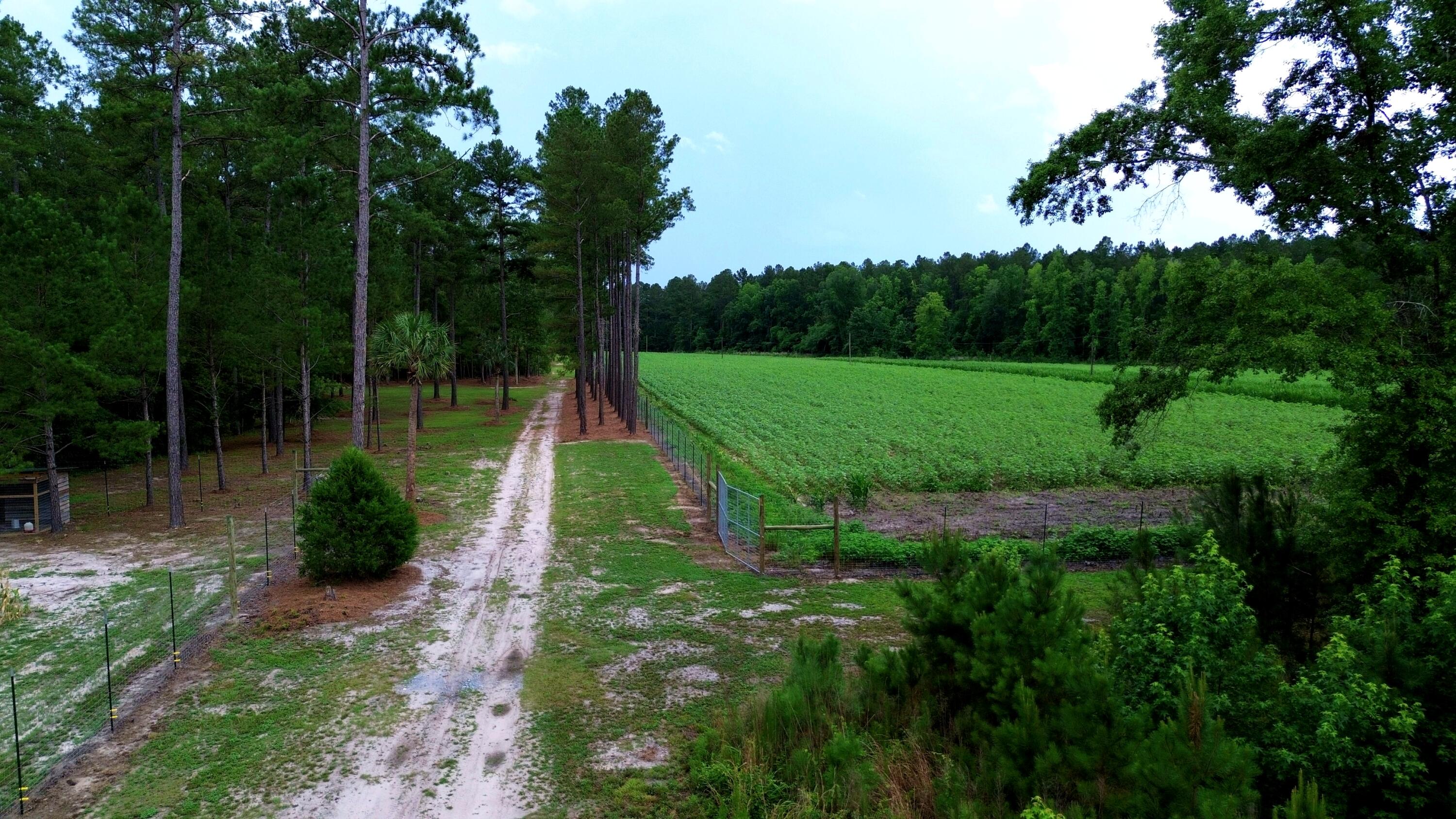 1970 Cross Swamp Road Islandton, SC 29929 - Photo 149 of 150