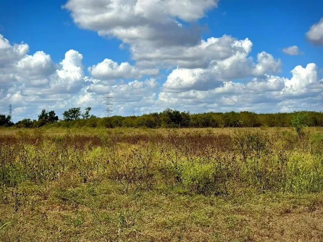 a backyard of a house with lots of trees