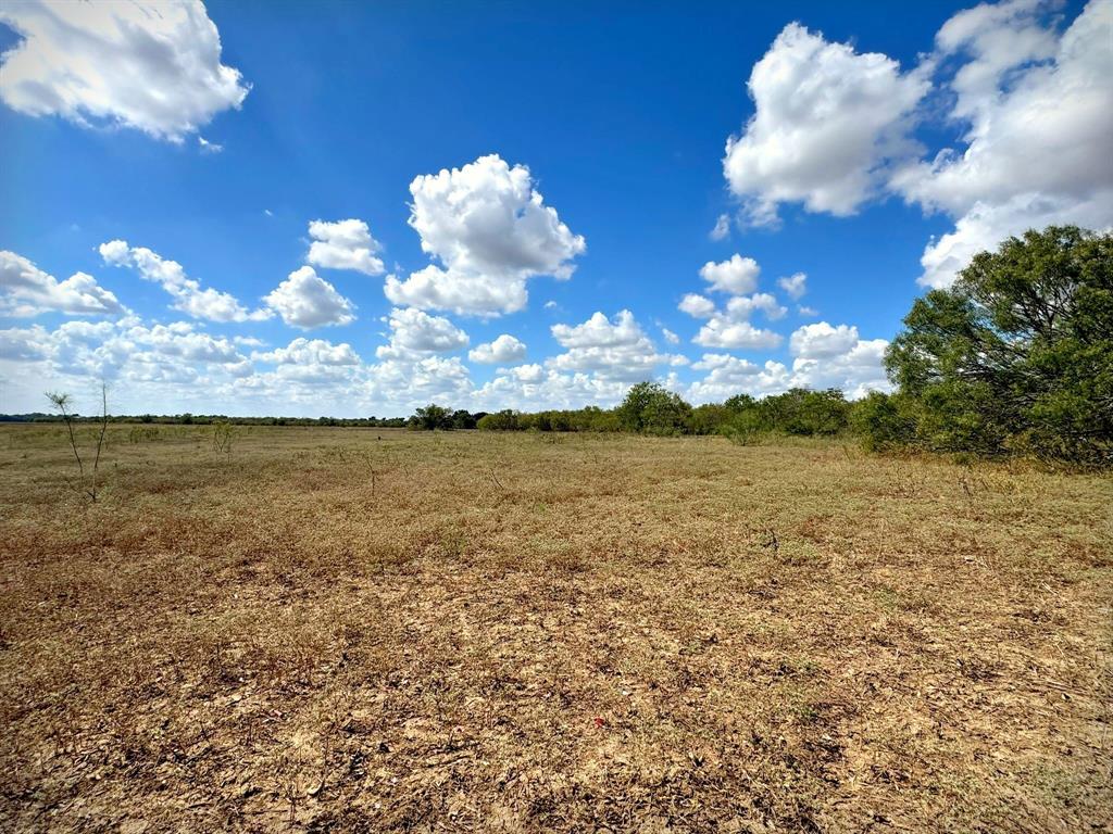 4194 Southeast River Road Martindale, TX 78655 - Photo 15 of 30 a view of a lake
