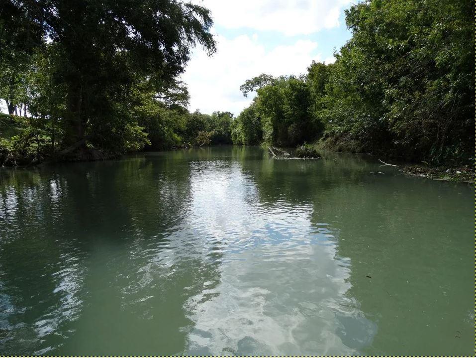 4194 Southeast River Road Martindale, TX 78655 - Photo 2 of 30 a view of a lake
