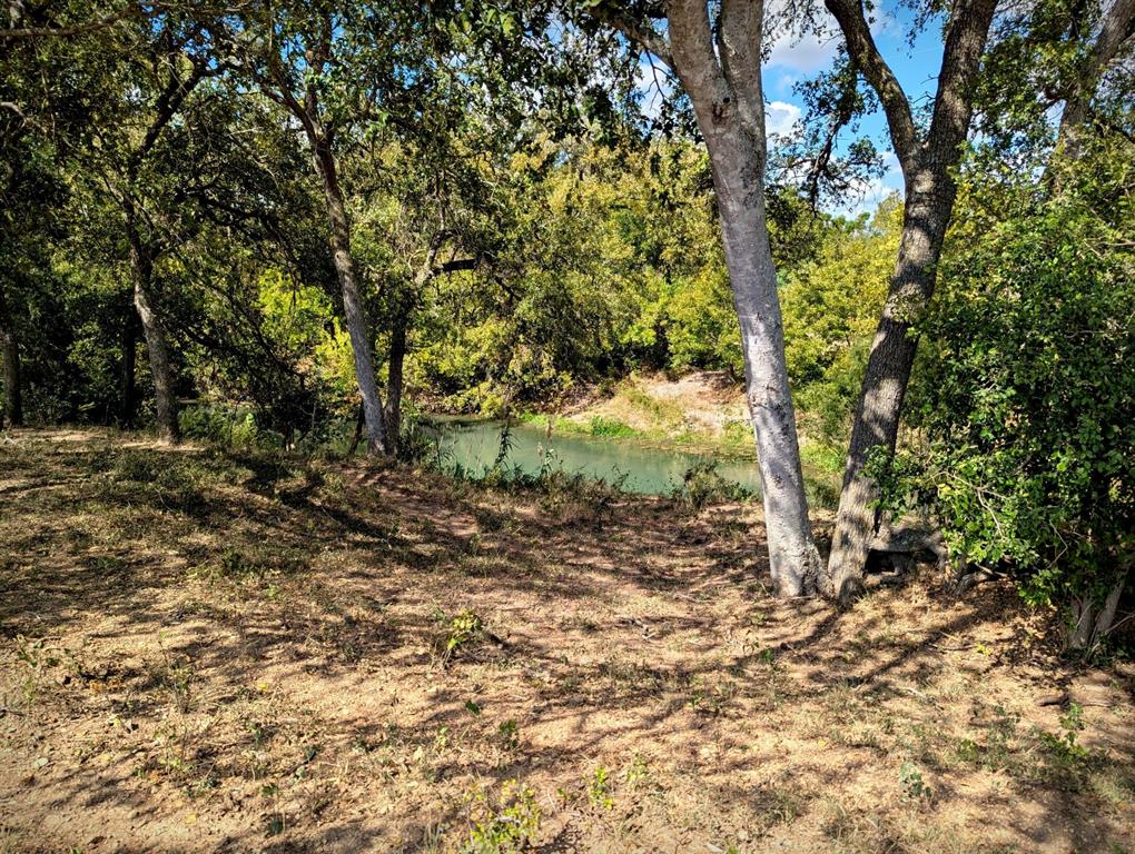 4194 Southeast River Road Martindale, TX 78655 - Photo 22 of 30 a view of a yard with plants and trees