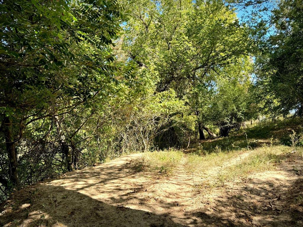 4194 Southeast River Road Martindale, TX 78655 - Photo 23 of 30 a view of ocean view