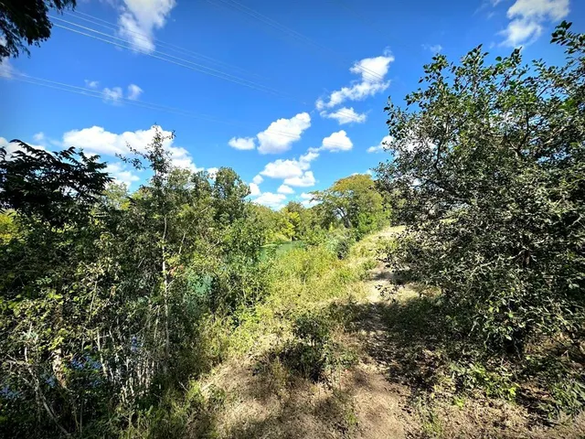 a view of lake from window