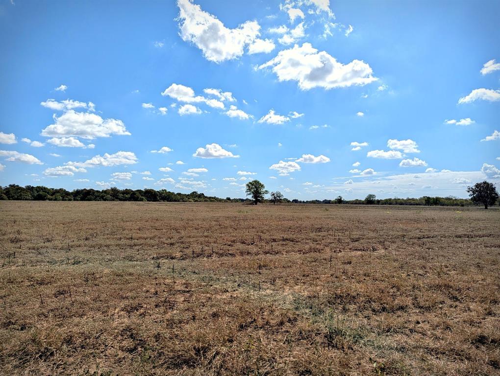 4194 Southeast River Road Martindale, TX 78655 - Photo 25 of 30 a view of lake from window